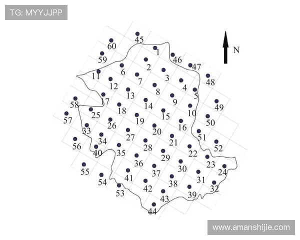 血战骰宝：深入剖析激烈战斗背后的概率学与策略布局技巧