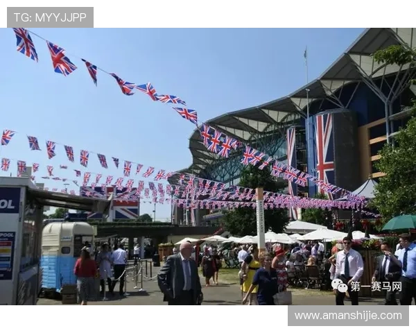 K8体育APP携手知名体育明星开启线上线下融合的体育盛事新篇章